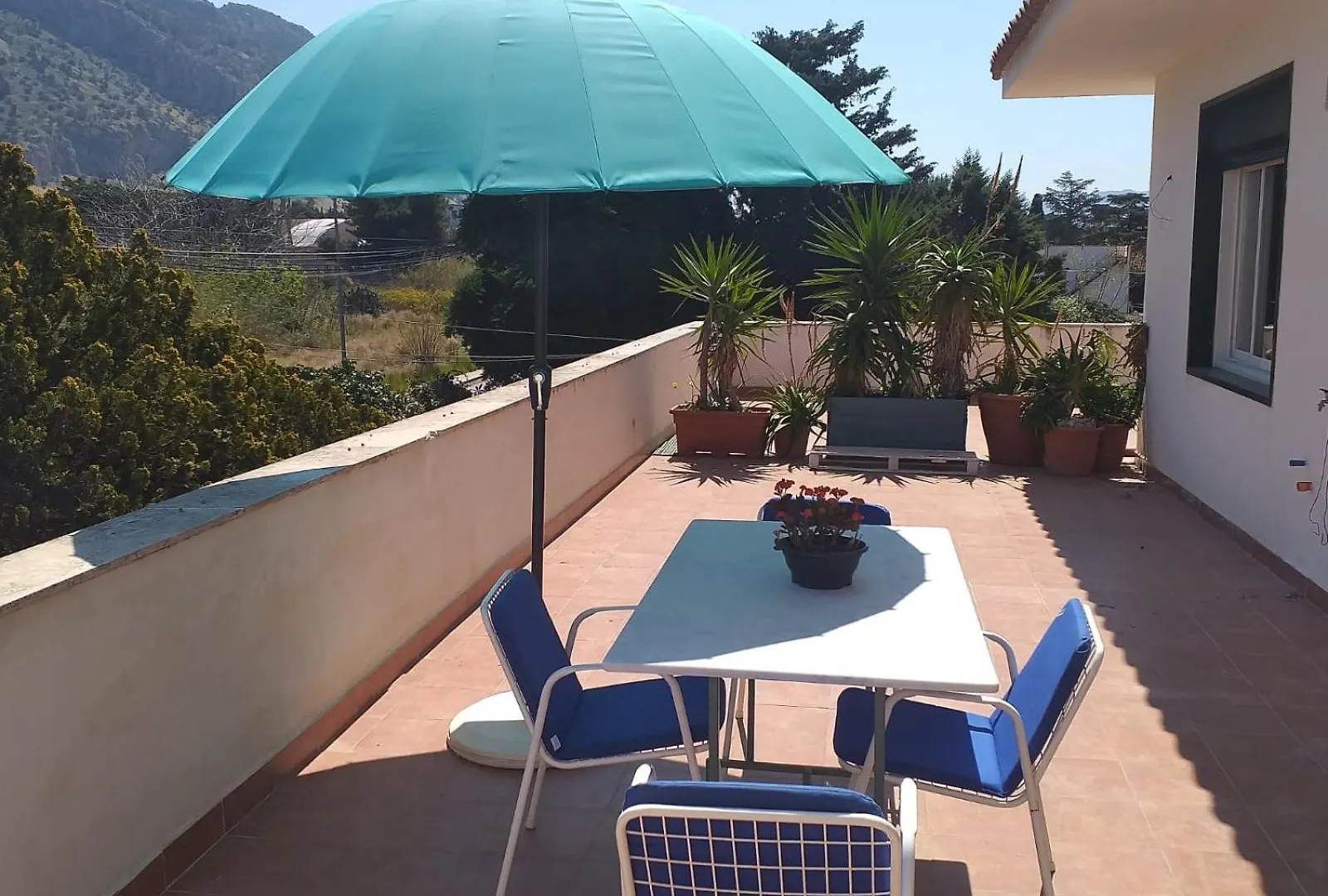 Rosalba Apartments - Cheap And Characteristic Palermo Italy