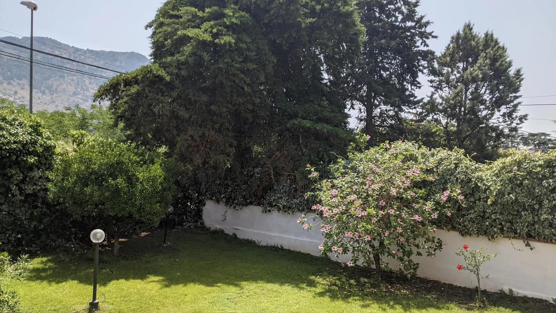 Rosalba Apartments - Cheap And Characteristic Palermo